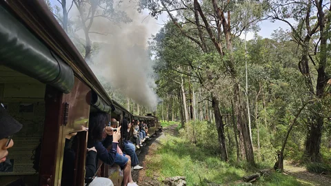 蒸汽火車懸空坐，海風裡等企鵝