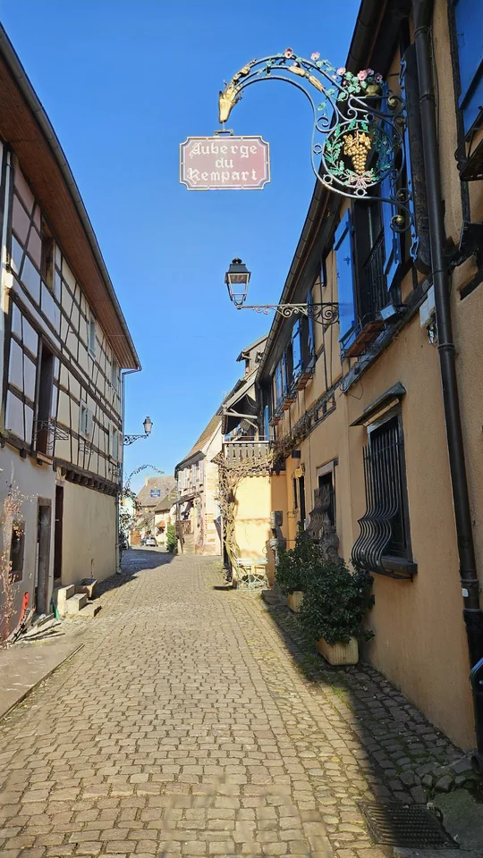 埃吉桑姆城牆街 Auberge du Rempart 鐵鑄葡萄招牌
