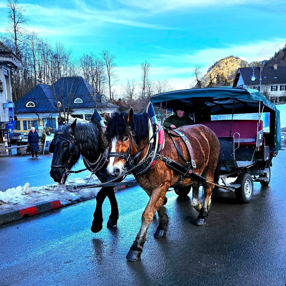 乘坐馬車沿雪坡蜿蜒上山