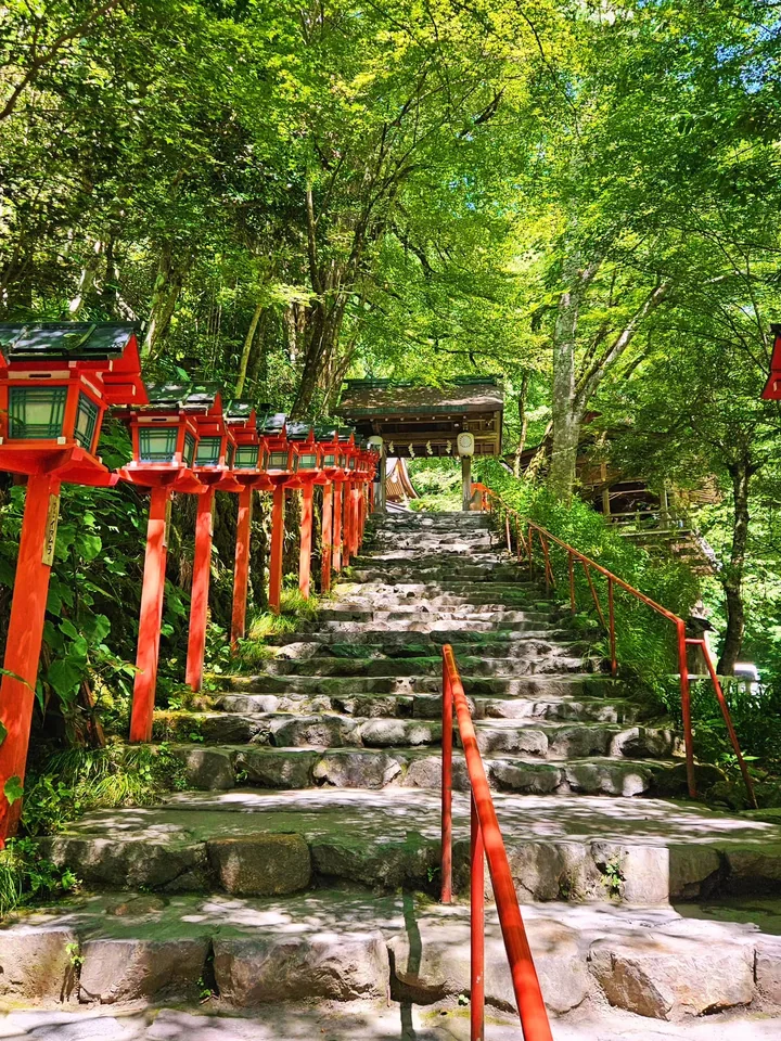 林間的貴船神社紅燈籠石階參道