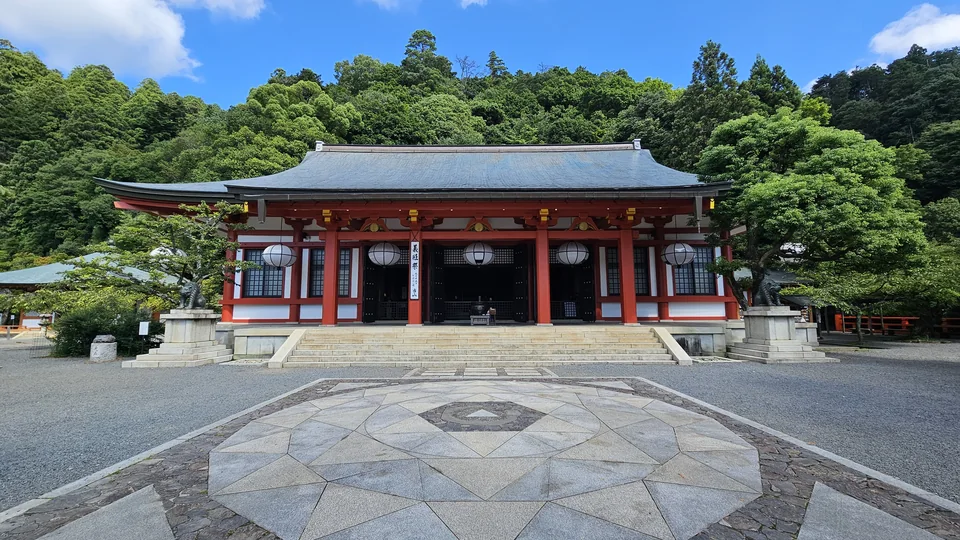 鞍馬山杉木林與木之根道