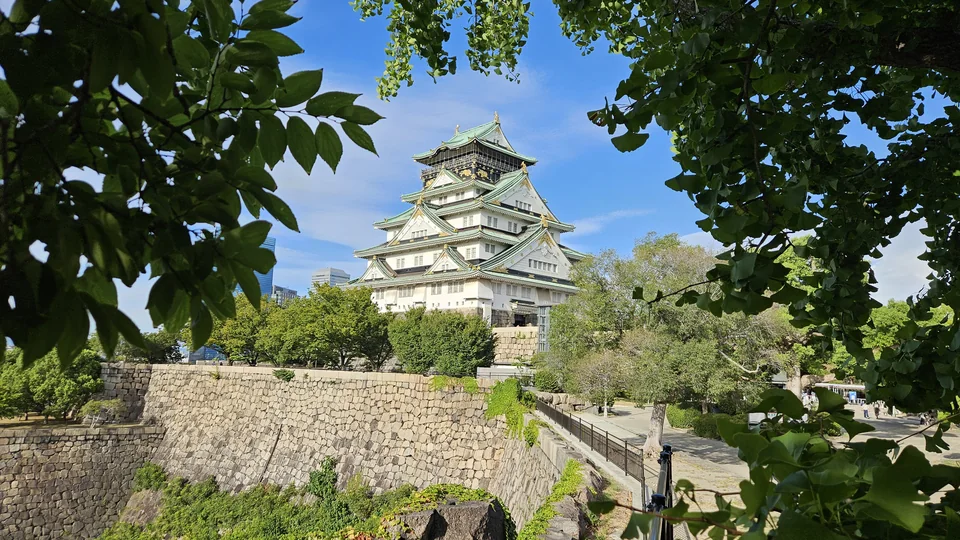 綠蔭與石垣框住大阪城天守閣
